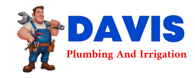 Trusted plumber in MORSE BLUFF